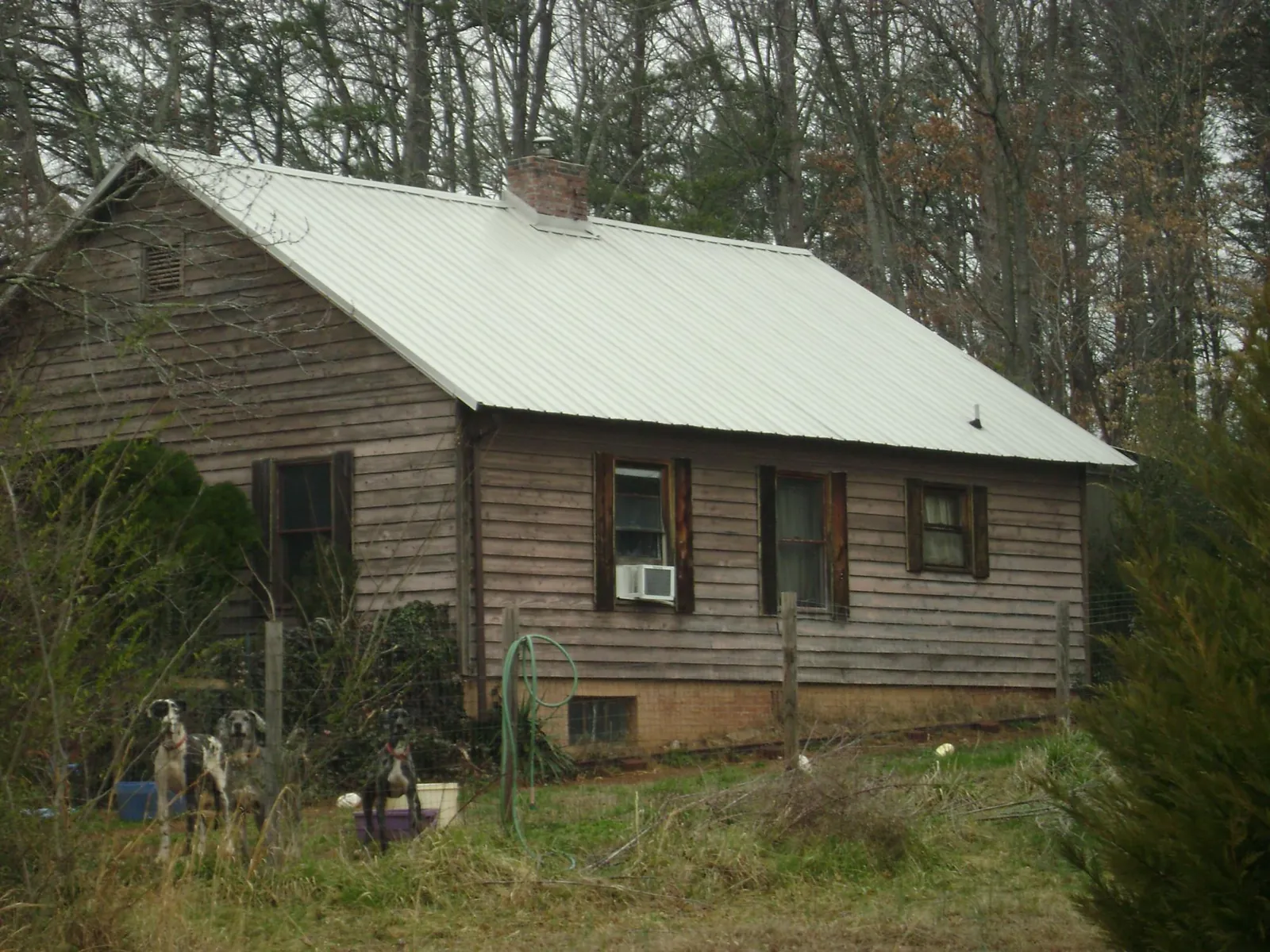 White metal roof on an old wood sided farmhouse, from a Metal Roof Installation job in Oakville